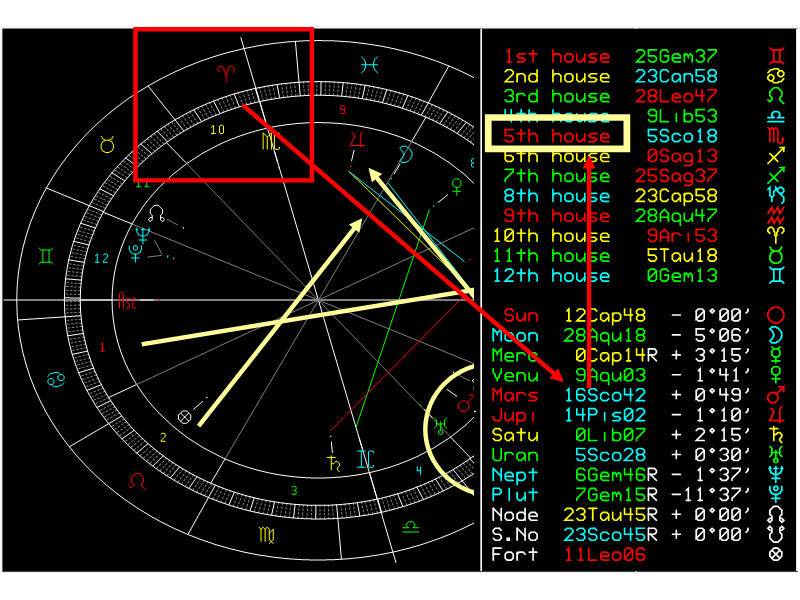 Астрологические дома (поля) гороскопа